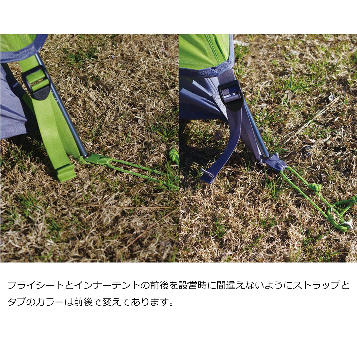 Amazon | NEMO (ニーモ) アトム 2P (バーチリーフグリーン) NM-ATM2P