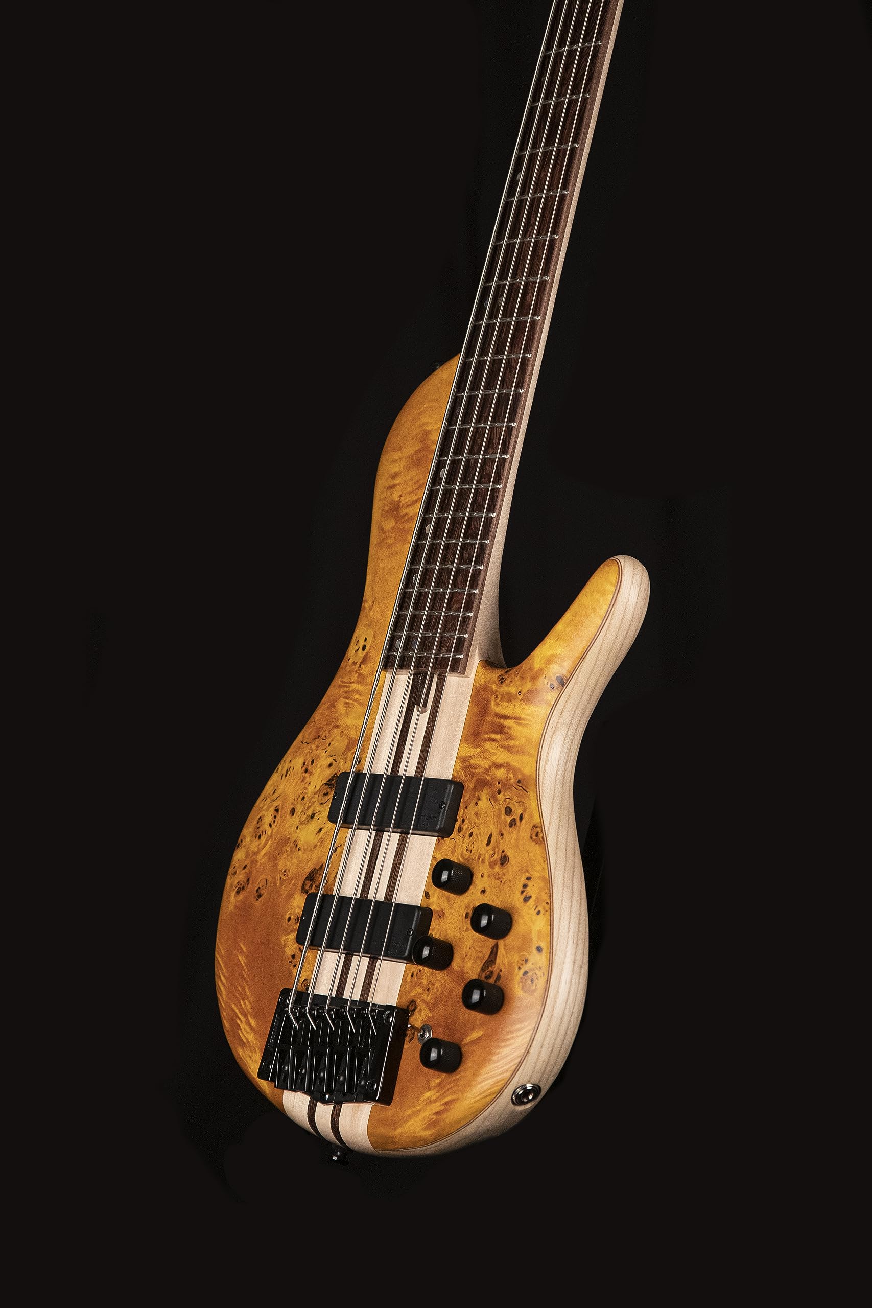 Amazon.com: Cort Artisan Series A5 Plus 5 String Bass Guitar, Open