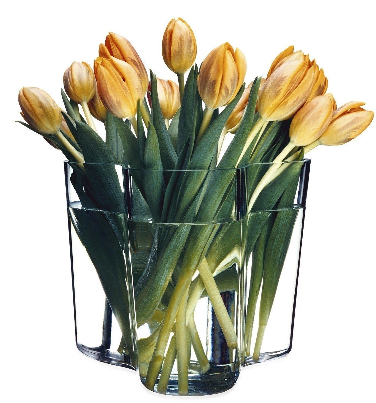 Amazon.co.jp: 【正規輸入品】 イッタラ アルヴァ・アアルト