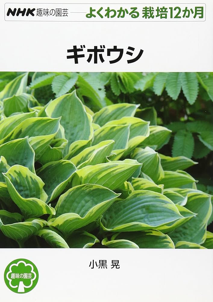 ギボウシ (NHK趣味の園芸 よくわかる栽培12か月) | 小黒 晃 |本 | 通販