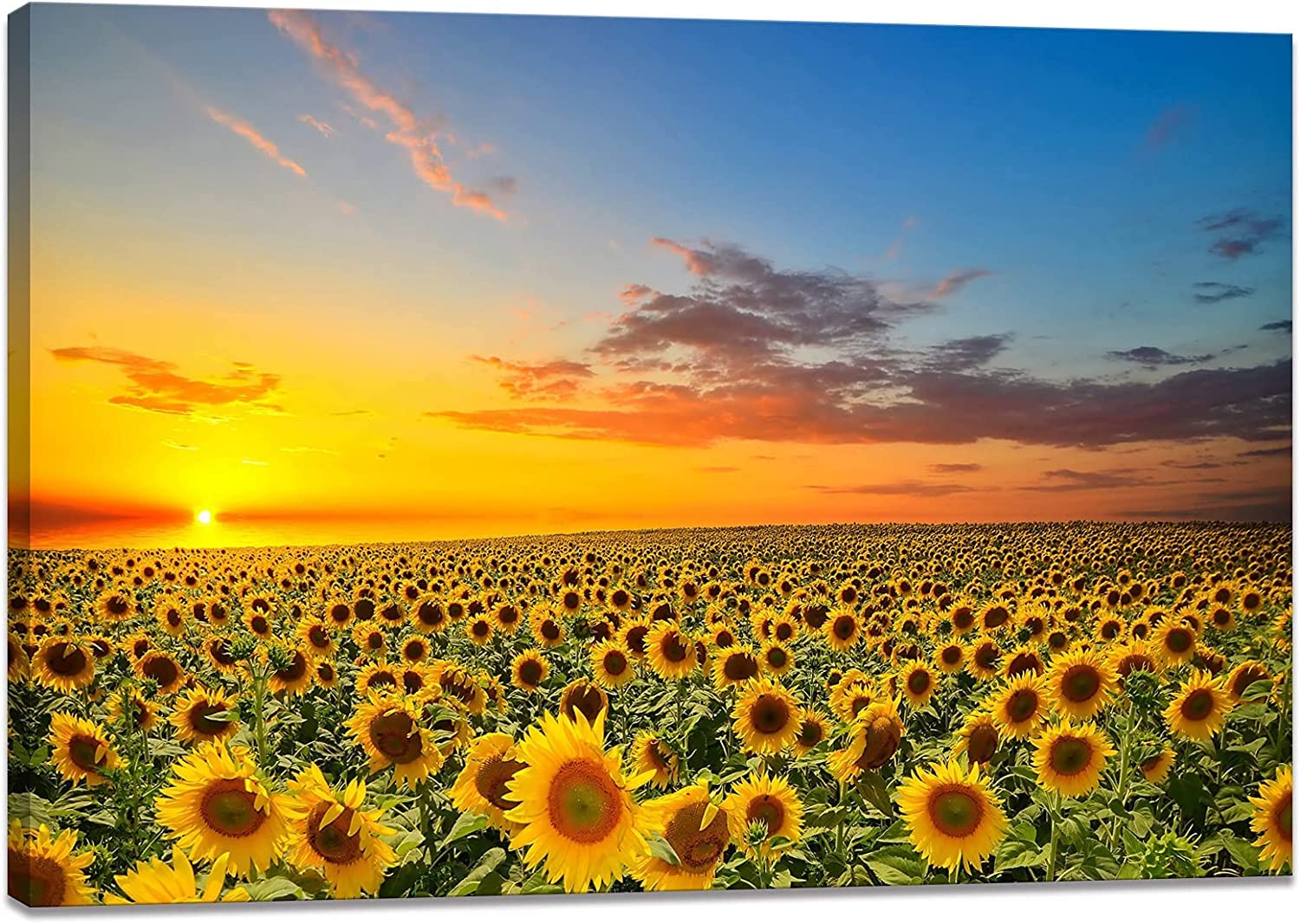 Amazon.co.jp: ひまわりの絵 アートパネル 向日葵 黄色い絵 ポスター