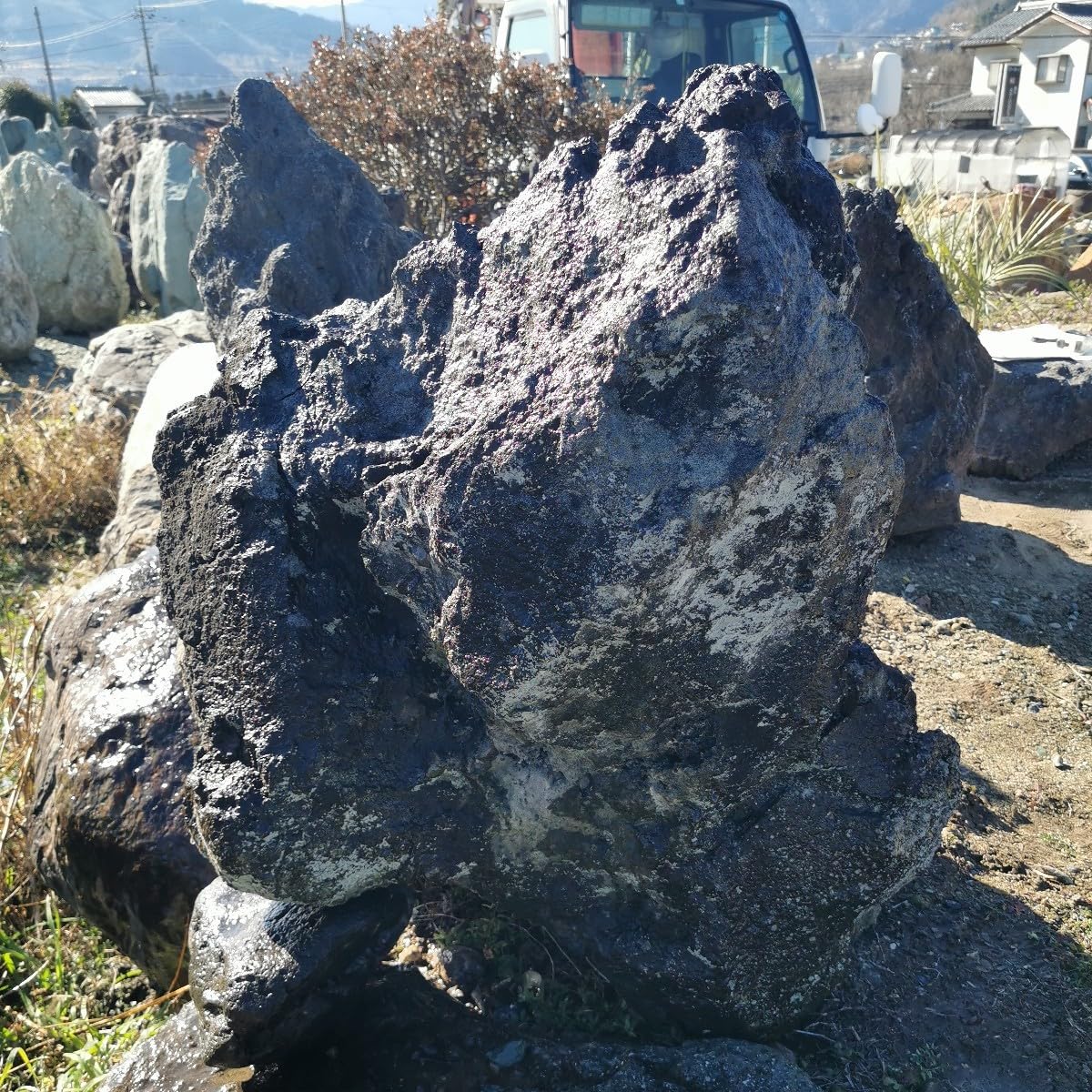 Amazon.co.jp: 浅間溶岩石166キロ庭石鑑賞石石盆石水石灯籠庭坪庭盆栽