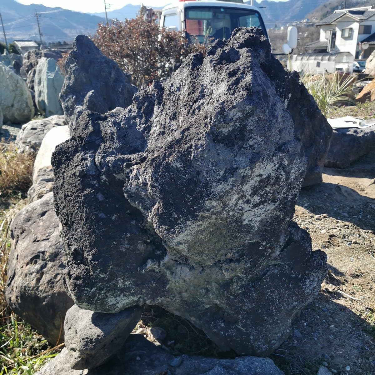 Amazon.co.jp: 浅間溶岩石166キロ庭石鑑賞石石盆石水石灯籠庭坪庭盆栽