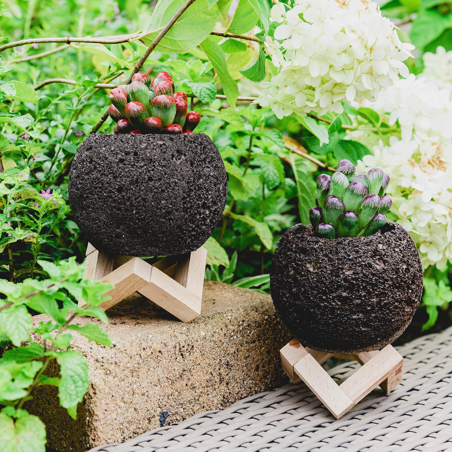 Amazon.co.jp: 天然溶岩石多肉植物ポット4個、水はけの良いミニ火山