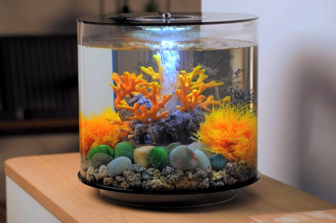 Amazon | biOrb 水槽 セット チューブ 15L (72064) おしゃれ