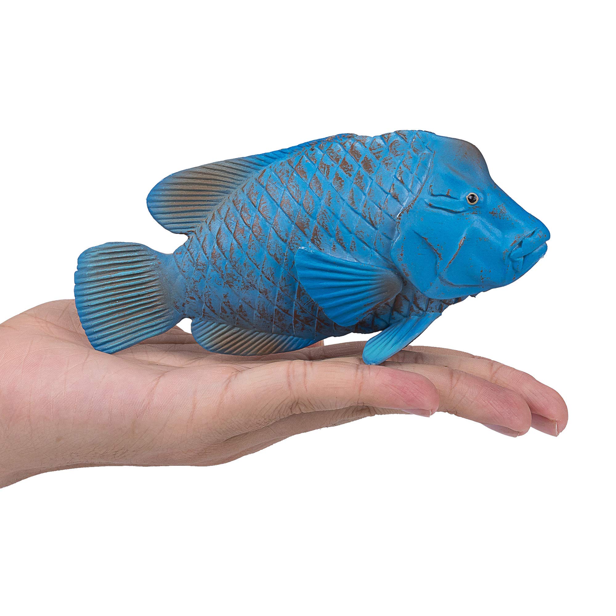Amazon.com: MOJO Blue Grouper Realistic International Wildlife