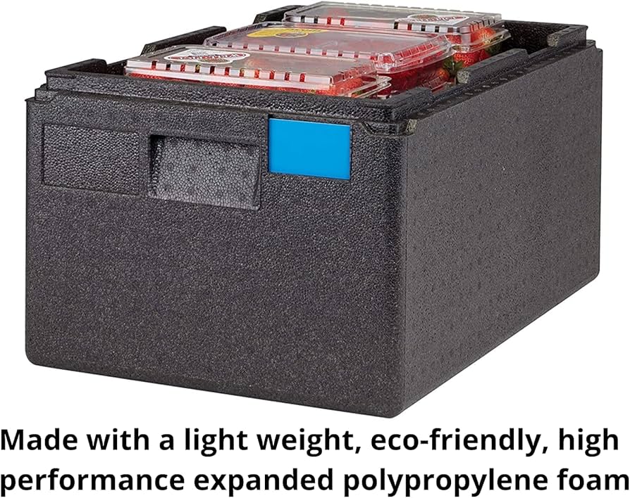 Amazon.com: Cambro EPP180SW110 Cam GoBox Top-Loader Food Pan