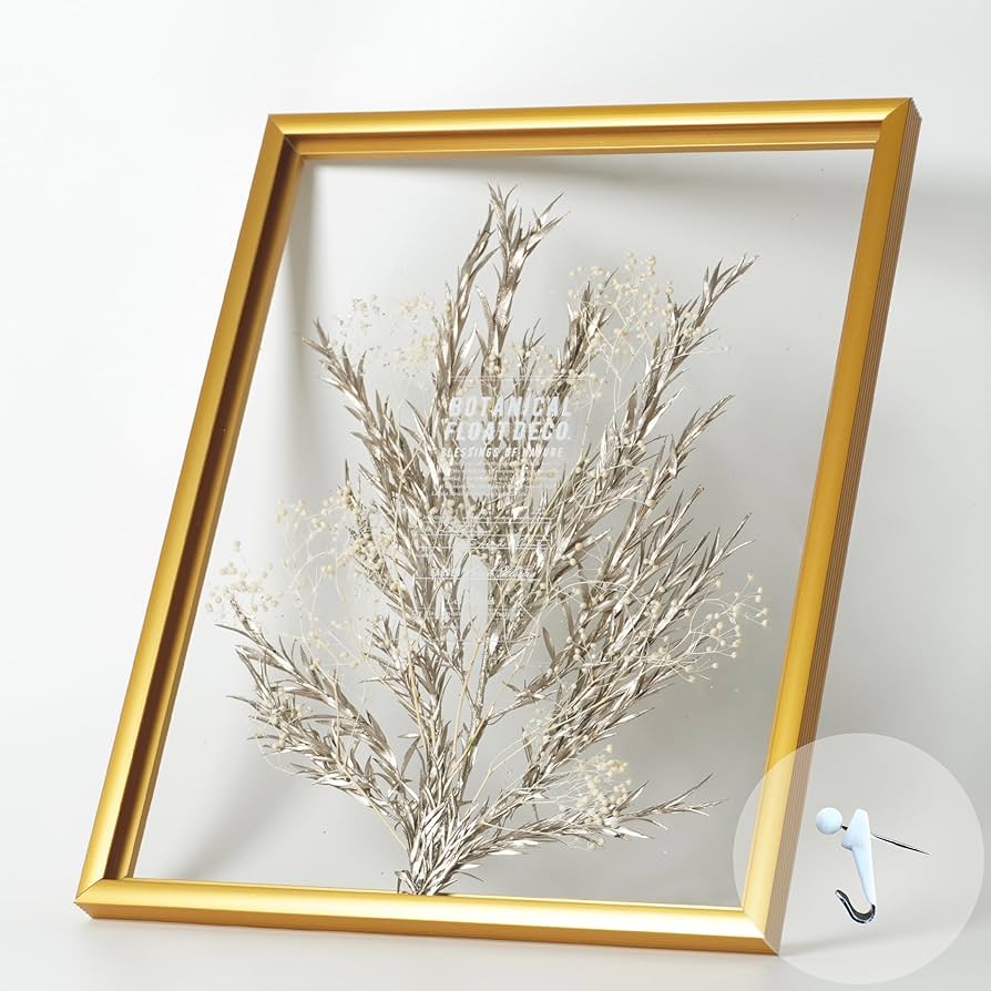 Amazon.co.jp: RingLeaf ボタニカル フロート額装 自然素材のアート