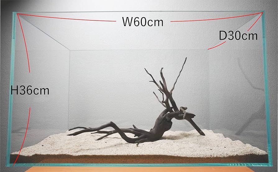 Amazon | 60cm水槽用 流木2本セット（黒色）【AQUASHOP wasabi