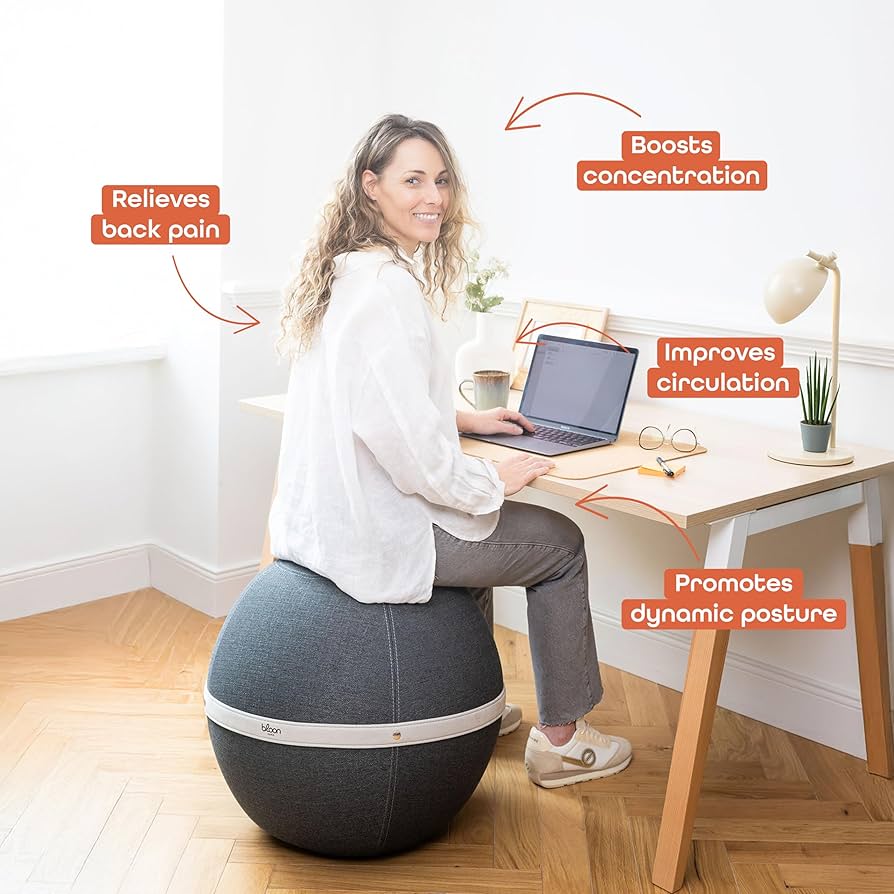 Amazon.com: Bloon Desk Ball Chair 21.6in | Back Pain Relief
