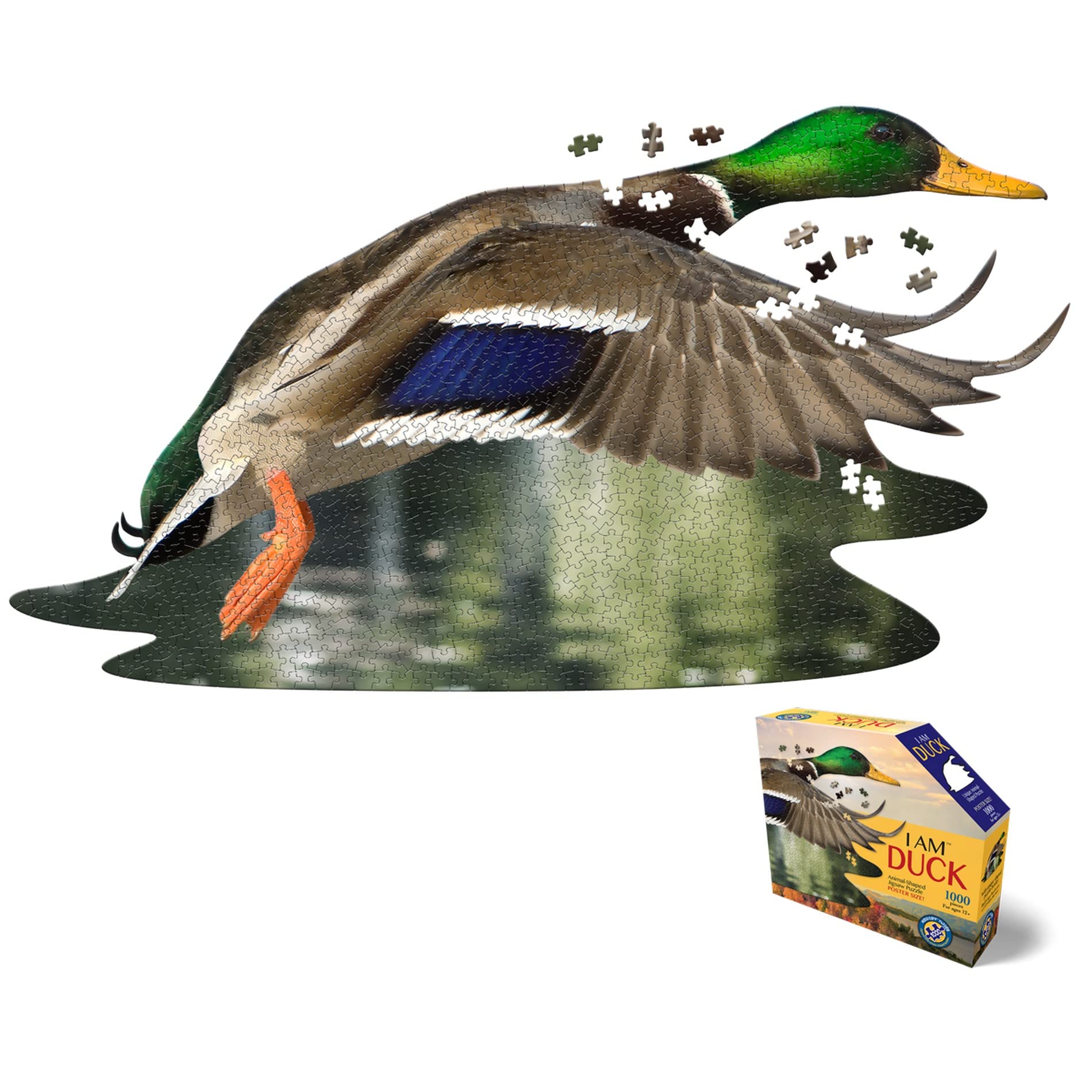 Amazon.com: Madd Capp Puzzles - I AM Duck - 1000 Pieces - Animal