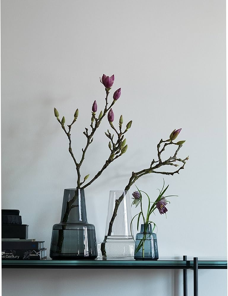 Amazon.co.jp: ホルムガード フローラベース 24cm スモーク : ホーム