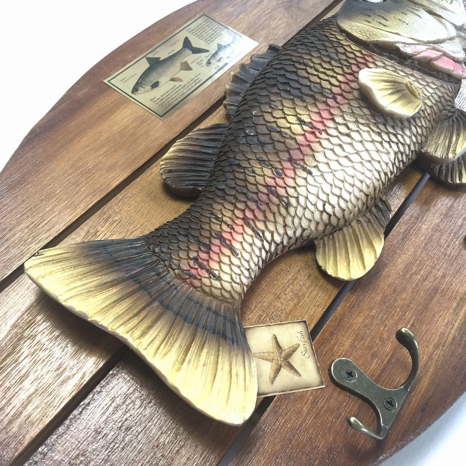 Amazon.co.jp: ブラックバス 壁掛け (40cm×24cm) レプリカ 模型