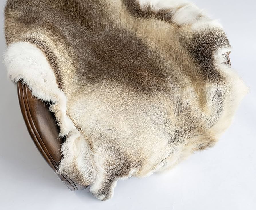 91ve5xzYrcL._AC_UF894,