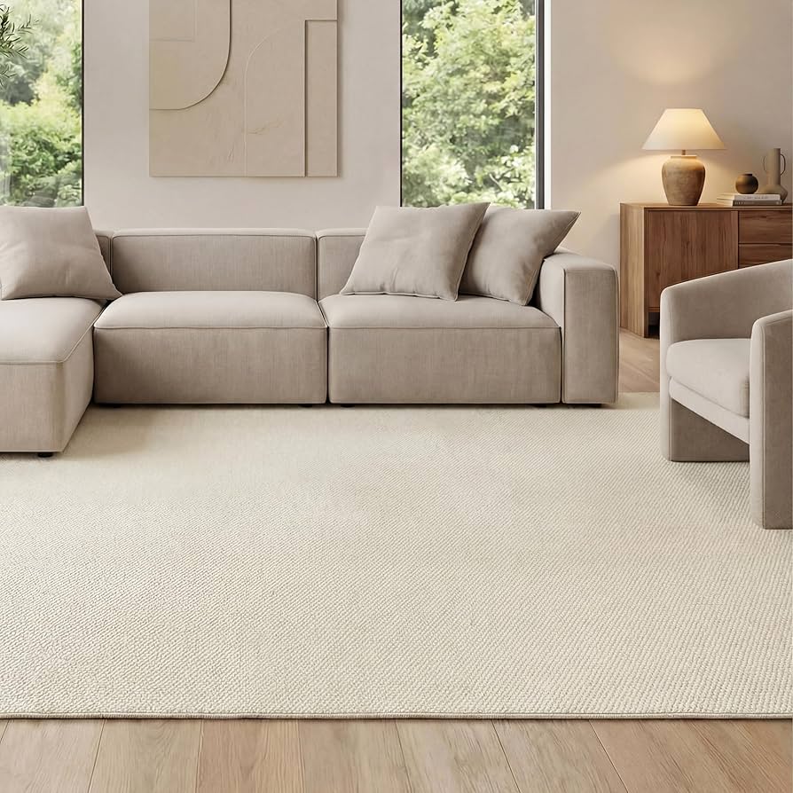 Amazon.com: Bedsure 4x6 Faux Wool Area Rugs for Living Room