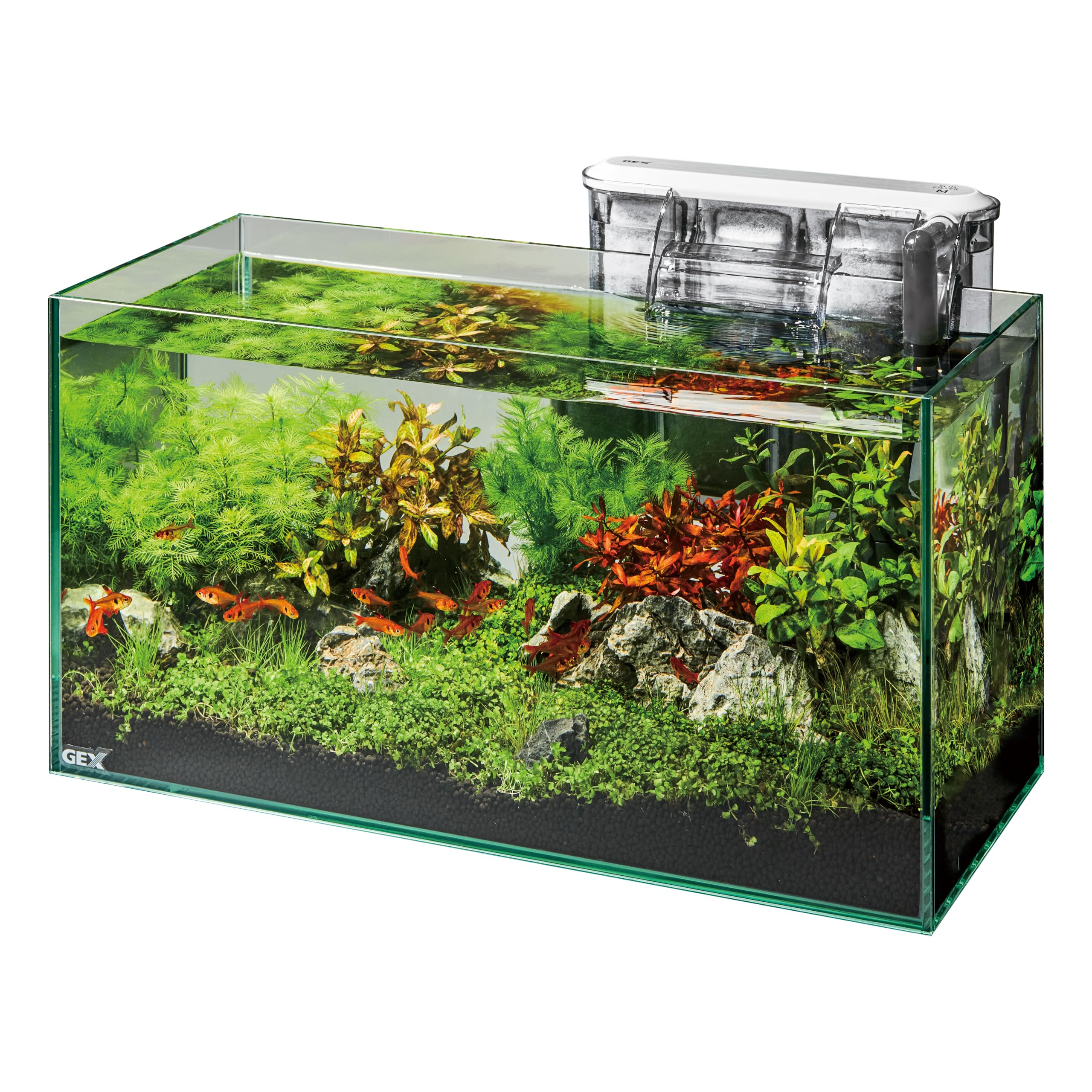 Amazon | GEX ジェックス グラステリアスリム450 6点セット DCポンプ