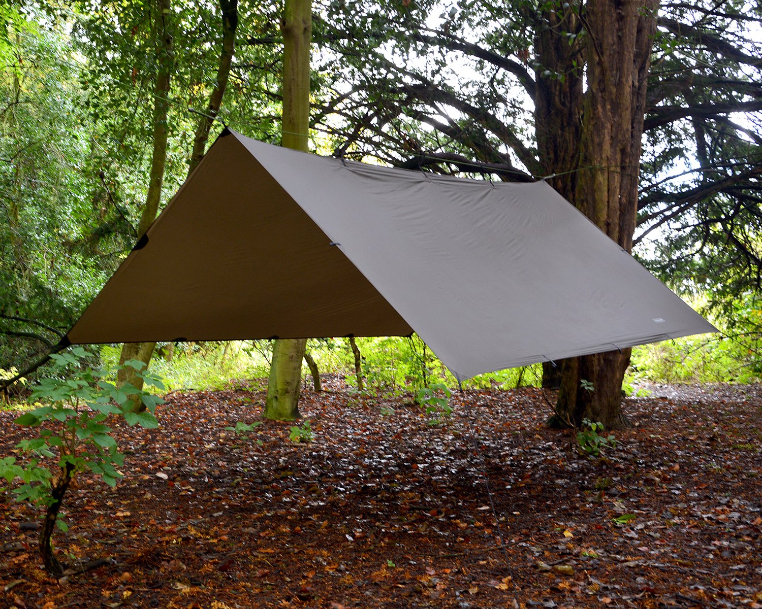 ス*−様 【人気】DDタープ4×4 コヨーテブラウン 【公式通販】