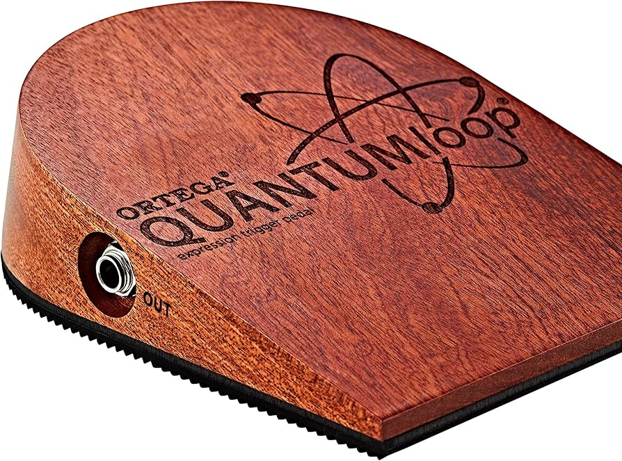 Amazon.com: Expansion Trigger Pedal for QUANTUMLOOP : Musical