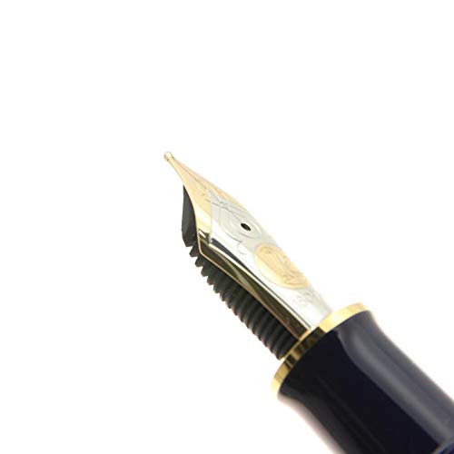 Amazon | ペリカン 万年筆 スーベレーン M800 ストーンガーデン