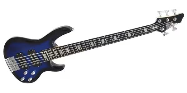 Amazon | PLAYTECH (プレイテック) 5弦エレキベース アクティブタイプ