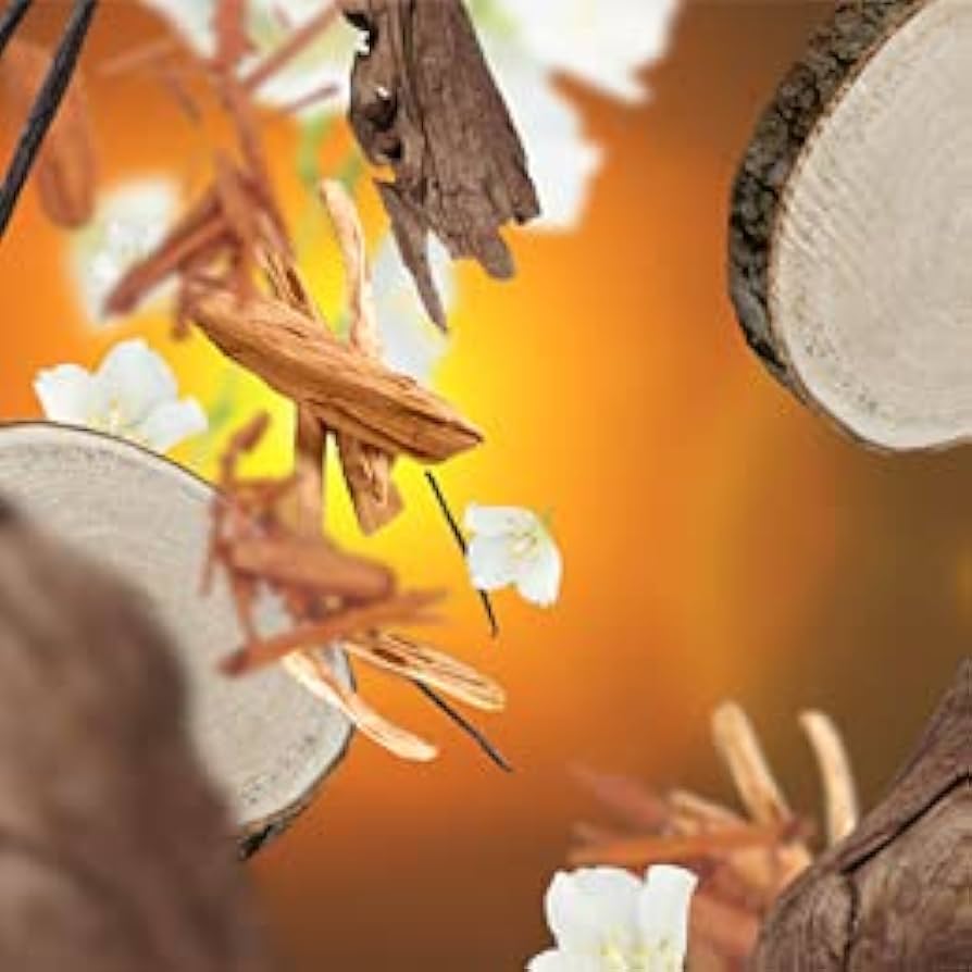 Amazon.co.jp: ランプベルジェアロマオイル1L MB サンダルウッド