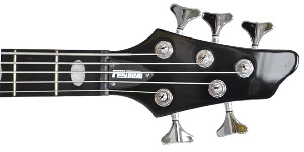 Amazon | PLAYTECH (プレイテック) 5弦エレキベース アクティブタイプ