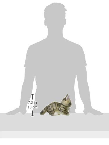 Amazon.co.jp: 三英貿易 グレイスフル ネコ (日本製) こねこのミーヤ