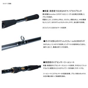 Amazon | ダイワ(DAIWA) シーバスロッド ラテオ・R ベイトモデル各種
