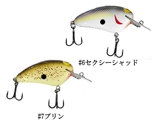 Amazon | テンフィートアンダー ワラミー ワイドル モア TEN FEET