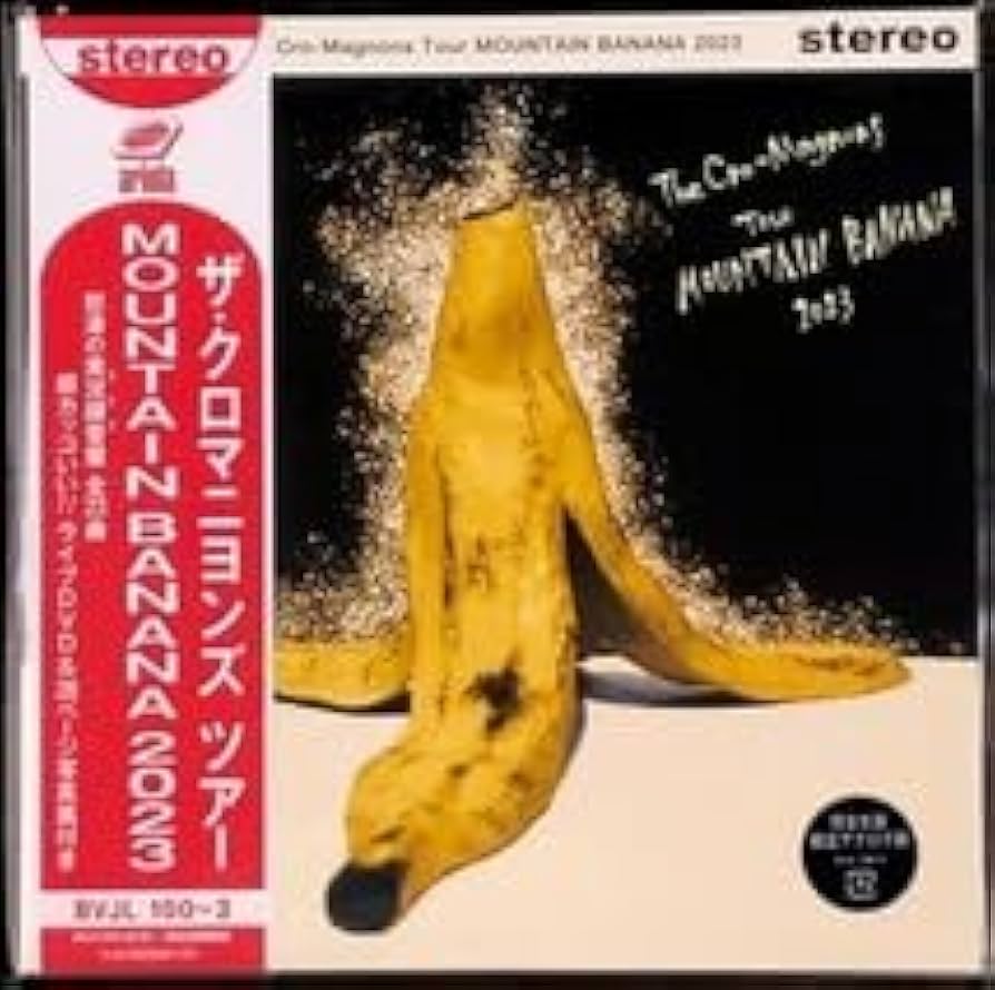 Amazon.co.jp: ザ・クロマニヨンズ ザ・クロマニヨンズ ツアー