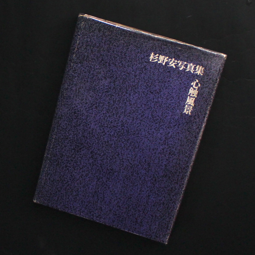 心触風景 / Impressive Landscape - 杉野 安 / Yasushi Sugino