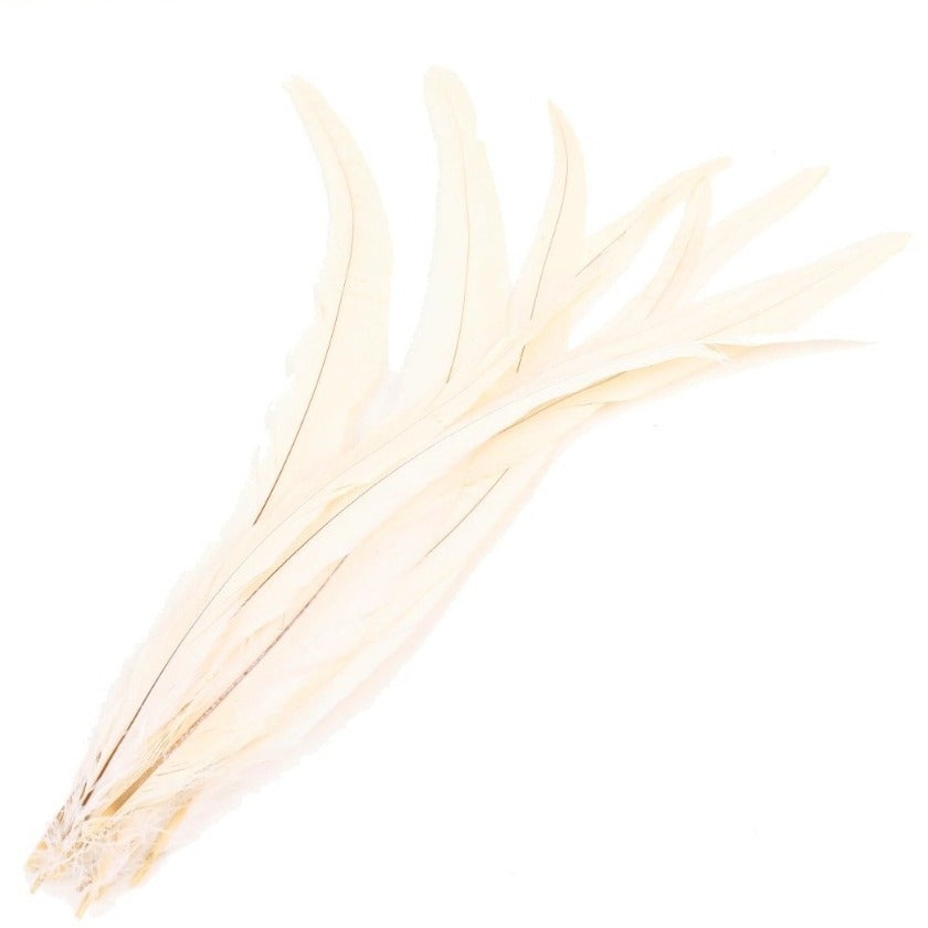 ロングフェザー 豊富な色展開 タヒチアン/サンバ/バレエ等のダンスの