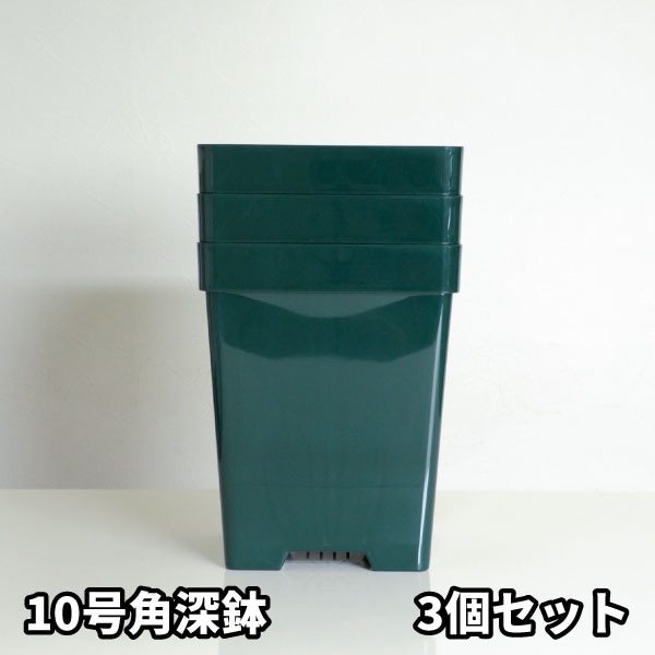 10角×3鉢セット】プレミアローズセレクション【10号角深鉢3鉢セット