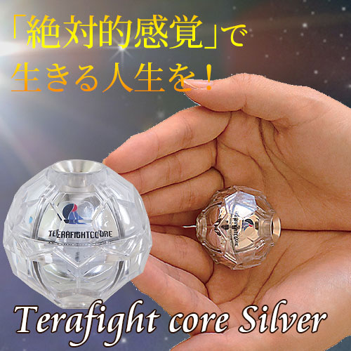 テラファイトコア シルバー（単品）｜トータルヘルスデザイン公式