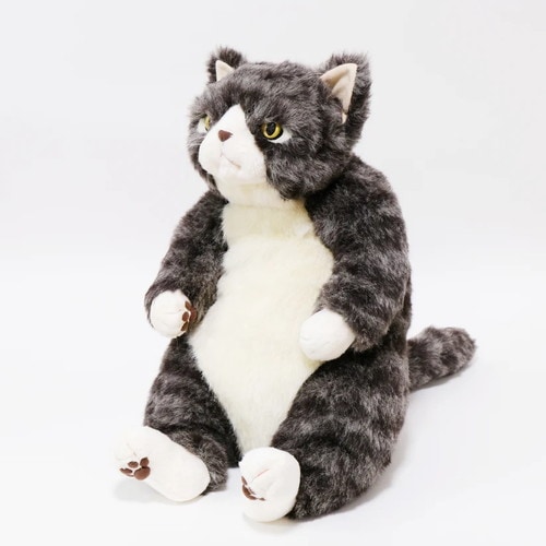 Cuddly カドリー 勘太 サバトラ(約45cm 約650g) ソメゴローとゆかいな