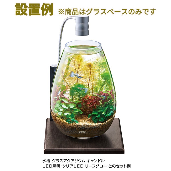 グラスベース エボニー 200 GEX(ジェックス) グラスアクアリウム