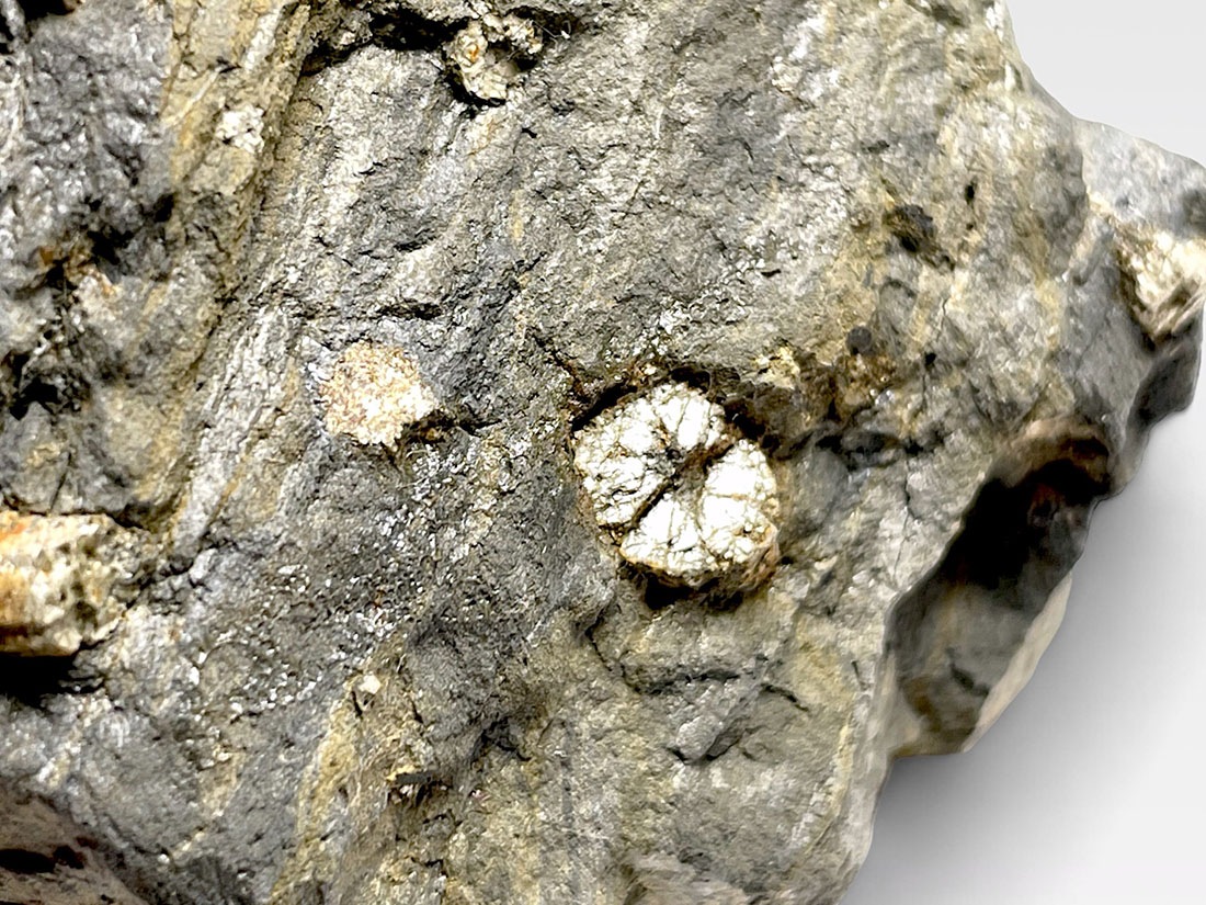 京都府亀岡市稗田野町湯ノ花 桜石 ( セラサイト )