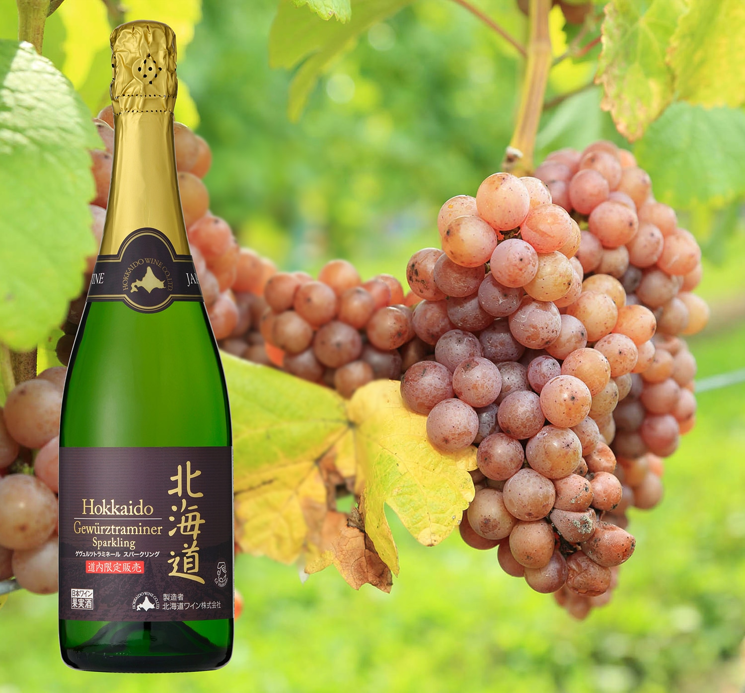 PREMIUMイヌトウキ 180粒×2袋 新品未使用 PREMIUMイヌトウキ 180粒×2