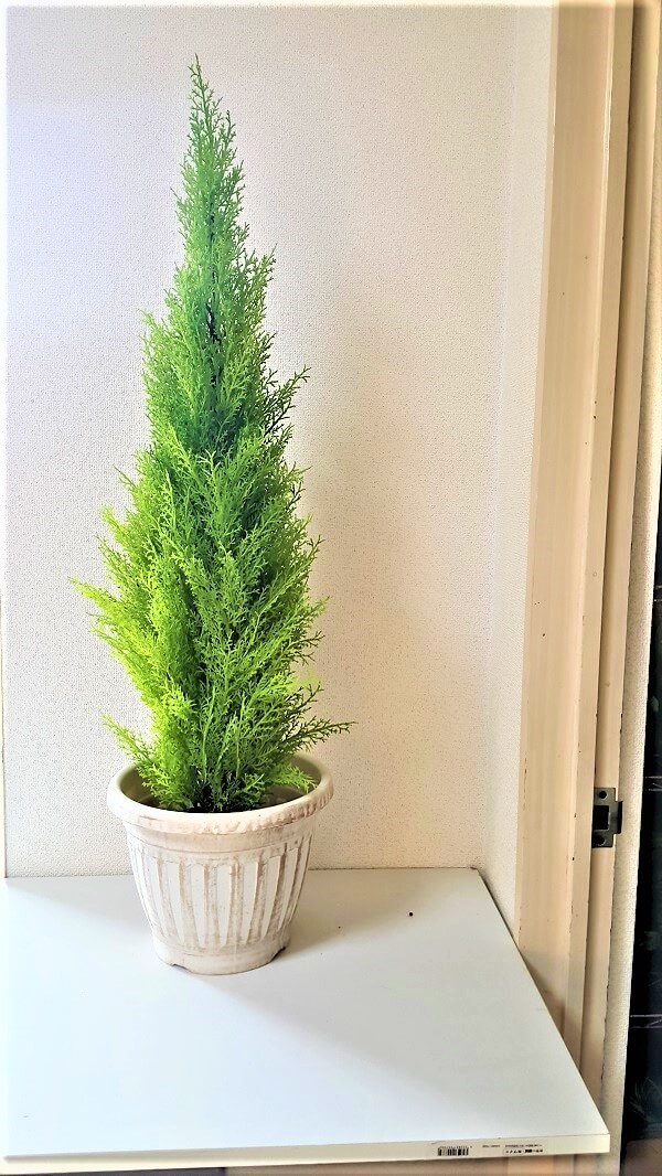 人工観葉植物ゴールドクレスト】【フェイクグリーン】送料無料