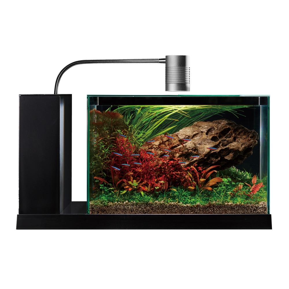 GEX aquarista AQUA-U WIDE 2.0 ホワイトとブラックがございます