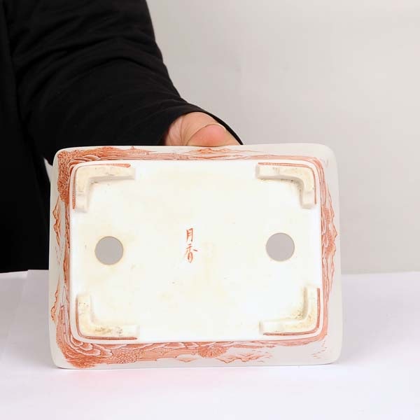 盆栽小鉢：月香 長方鉢 17cm【現】 | 盆栽鉢・水盤,現代小鉢,その他