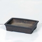 盆栽鉢・水盤,現代小鉢,流苑(りゅうえん) | 遊恵盆栽 本店