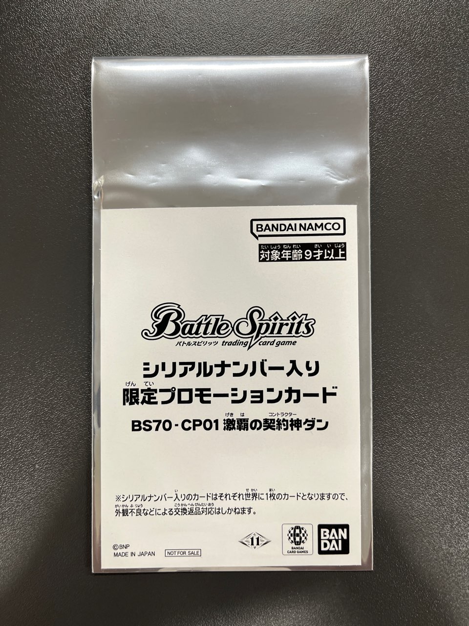 2_000000010284.jpg?1737026725