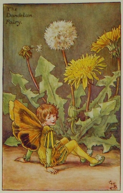 シシリー・メアリー・バーカー 挿画本「花の妖精・春」 | | アトリエ