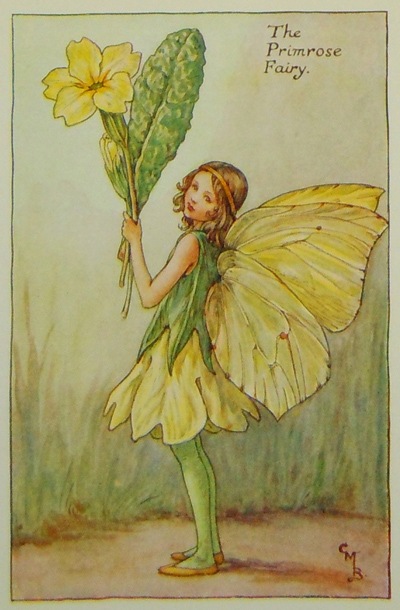 シシリー・メアリー・バーカー 挿画本「花の妖精・春」 | | アトリエ
