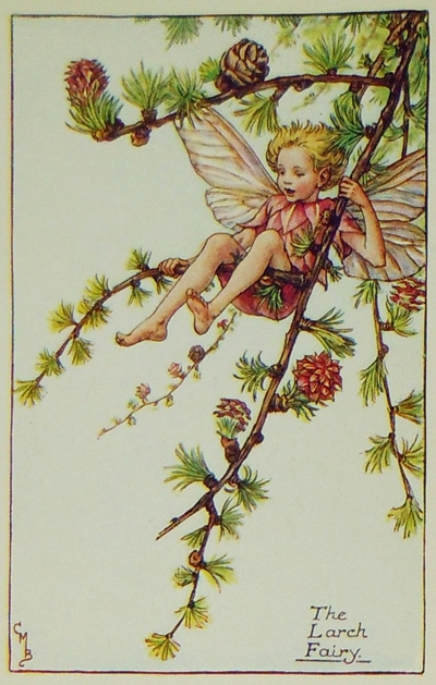 シシリー・メアリー・バーカー 挿画本「花の妖精・春」 | | アトリエ