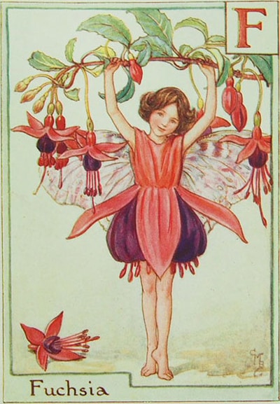 シシリー・メアリー・バーカー 挿画本「花の妖精・アルファベット