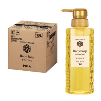 V416ポーラシャワーブレイクボディソープ10L【入数1個】