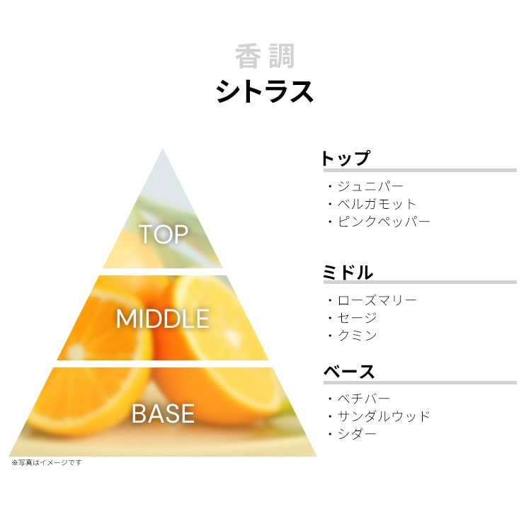 イソップ カースト EDP・SP 50ml 送料無料 AESOP KARST EAU DE PARFUM