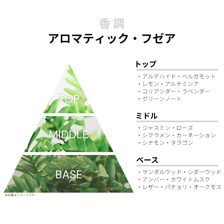 ラルフローレン サファリフォーメン EDT・SP 125ml RALPH LAUREN